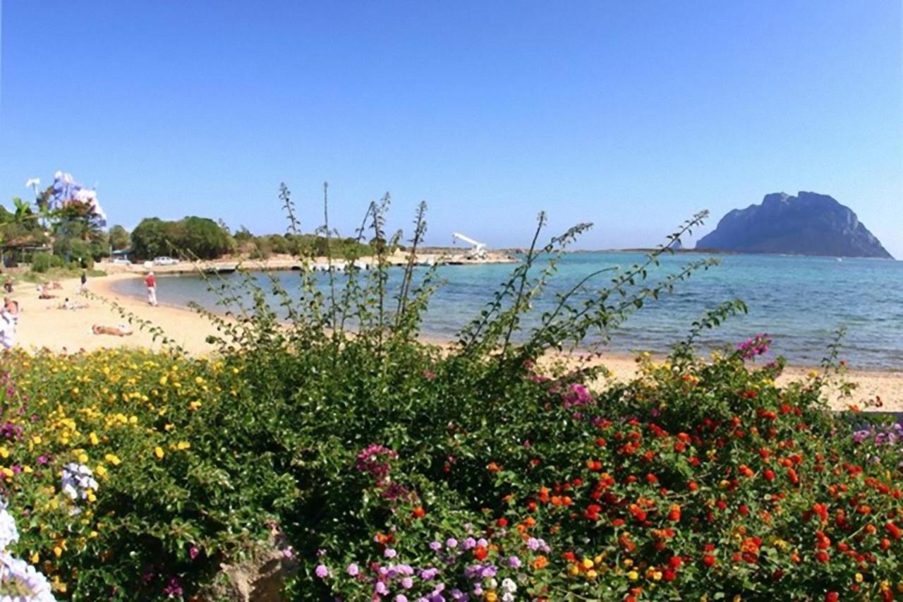 Baia De Bahas - Apartments & Resort Marinella  Eksteriør bilde